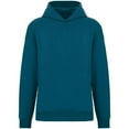 thumbnail image 1 of Native Spirit  Adult Oversized Hoodie, 1 of 3