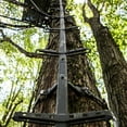 thumbnail image 5 of Hawk Traction Climbing Stick, 20' Tree Climbing Ladder Hunting Gear, 5 of 12