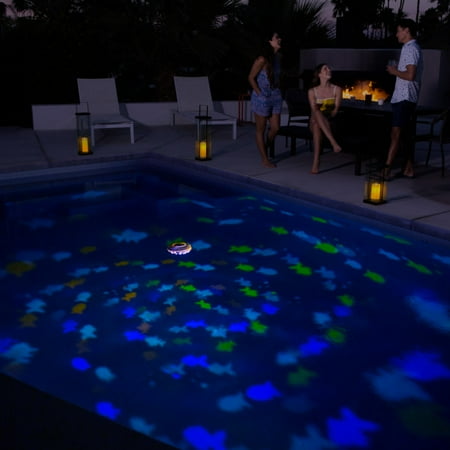 reef pool light aquarium rainbow swimways turn into floating