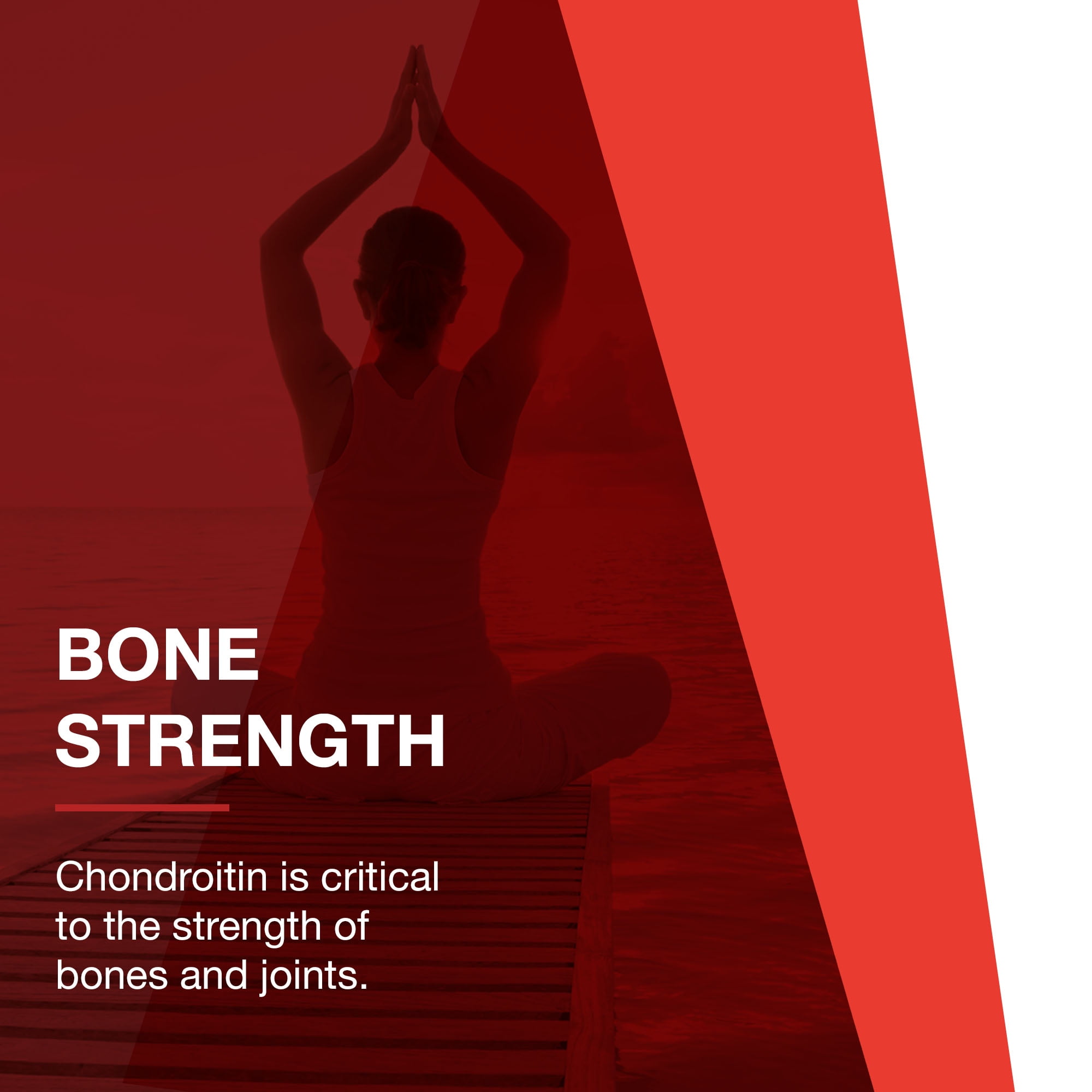 Protocol for Life Balance Glucosamine Chondroitin MSM - Joints - 180 Caps