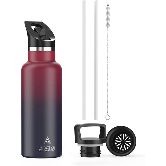 Stainless Steel Double Wall Water Bottles, Vacuum Insulated Bottle With Straw Lid, Insulated Water Bottle Keeps Water Cold for 24 Hours, Hot for 12 Hours, Hiking, Sports