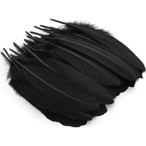 100 pcs Black Crafts Goose Feathers for DIY, Dream Catchers, Party Cake Halloween, Easter Decorations
