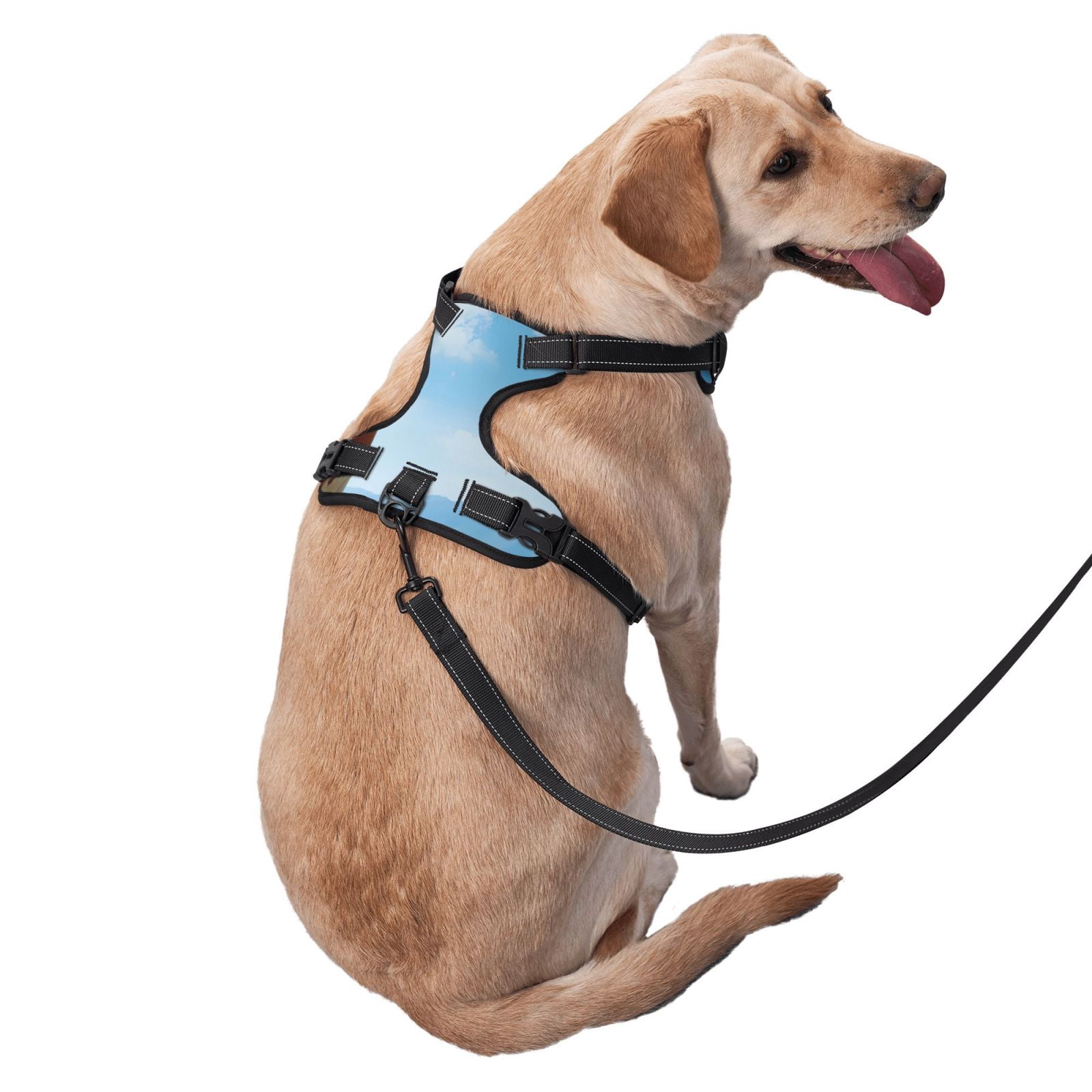 Vsdgher Cow Grazing Nature Dog Harness, No-Pull Pet Harness, Dog Vest, Pet Vest for Small to Large Dogs-Medium