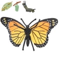 thumbnail image 1 of VGEBY Strengthen Parent‑Child Relationships Insect Model, Model, For Kids Parents Home School, 1 of 8