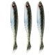 thumbnail image 2 of Otros, 2 of 8