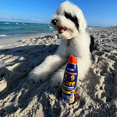 thumbnail image 3 of Epi-Pet K-9 Care Sunscreen Zinc-Free Conditioning Sunscreen Spray with Ethylhexyl Methoxycinnamate for Dog and Horse, 3.5oz Bottle, 3 of 16