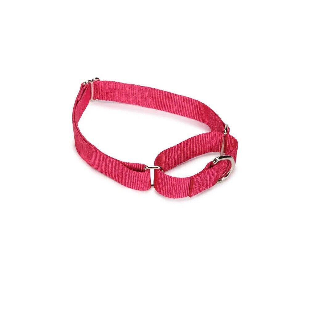 Bulk Wholesale Nylon Martingale Collars Shelter Rescue Vet Makes Great Donations (25 Collars 18 to 26 Inch)