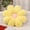 C, variant on Product Classification Pillow 2 Flower Shaped Cushion & Sofa Pillow for Home and Comfort