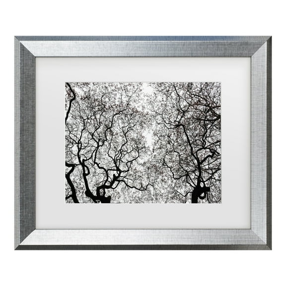 Trademark Fine Art 'Japanese Maple Spring Abstract' Canvas Art by Kurt Shaffer