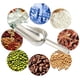 thumbnail image 5 of Cuchara para hielo de acero inoxidable Cuchara pequeña de metal para dulces Cuchara para hielo pequeña Cuchara para azúcar pequeña Cuchara para crema Comida de cocina casera, 5 of 5