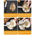 Hohaski Oysters Oysters Set Easy Oysters Opening Tool Oysters Wooden ...