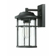 Pia Ricco 1-Light Outdoor Wall Sconce