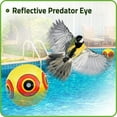 3 Pack DeBird Duck Deterrent for Pool, Bird Repellent Balloons with Reflective Predator Eyes