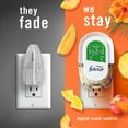 thumbnail image 4 of Febreze Plug In Air Freshener, Odor-Fighting Scented Oil Refill, Hawaiian Aloha Scent, 3 Refills, 4 of 16