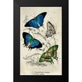 thumbnail image 2 of Zalewski, Christine 16x24 Black Modern Framed Museum Art Print Titled - Kirby Butterflies I, 2 of 5