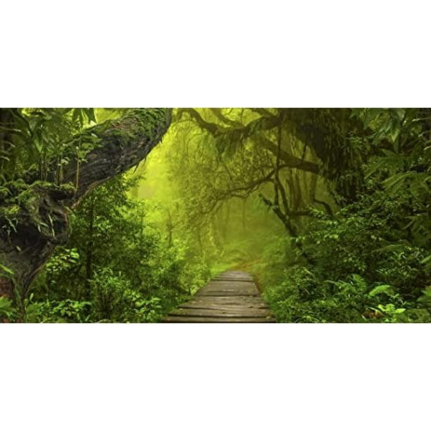 aquarium terrarium backgrounds main (rainforest jungle with walkway, 20