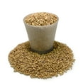 thumbnail image 5 of ⭐ Diatomaceous Earth (Diatomite) Soil Additive | Aids Drainage | Natural Pest Repellent | Creates Soil Structure for Roots - (5 Quart Bag), 5 of 6