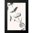 thumbnail image 2 of 1x Studio III 13x18 Black Modern Framed Museum Art Print Titled - Eucalyptus Creative 13, 2 of 5