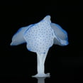thumbnail image 2 of High  Shape Convenient To Decorate Fish Tank Coral Plant, Fish Tank Coral, Aquarium For Fish Tank Pets Animals, 2 of 3
