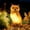 Brown Owl, variant on Solar Owl Garden Statues Outdoor Decor Resin Owl Figurine with LED Lights Owl Sculpture for Porch Patio Lawn Yard Decorations Christmas Housewarming Gifts for Women Mom,White Owl
