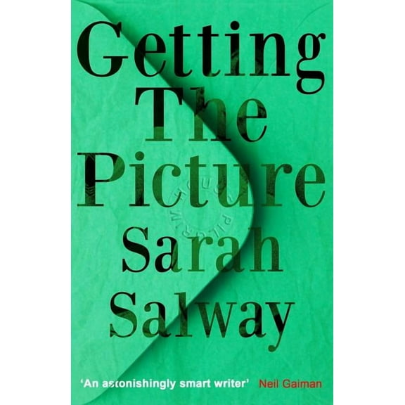 Getting The Picture (Paperback)