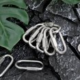 thumbnail image 4 of HONMEET 10 Pcs Clips Mousquetons en Acier Inoxydable Robustes à Connexion Rapide pour Utilisation Extérieure et Escalade, 4 of 6