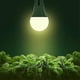 thumbnail image 1 of LED Grow Lights A19 Full Spectrum for Indoor Plants E26 - Plant Growing Light Bulb, 1 of 5