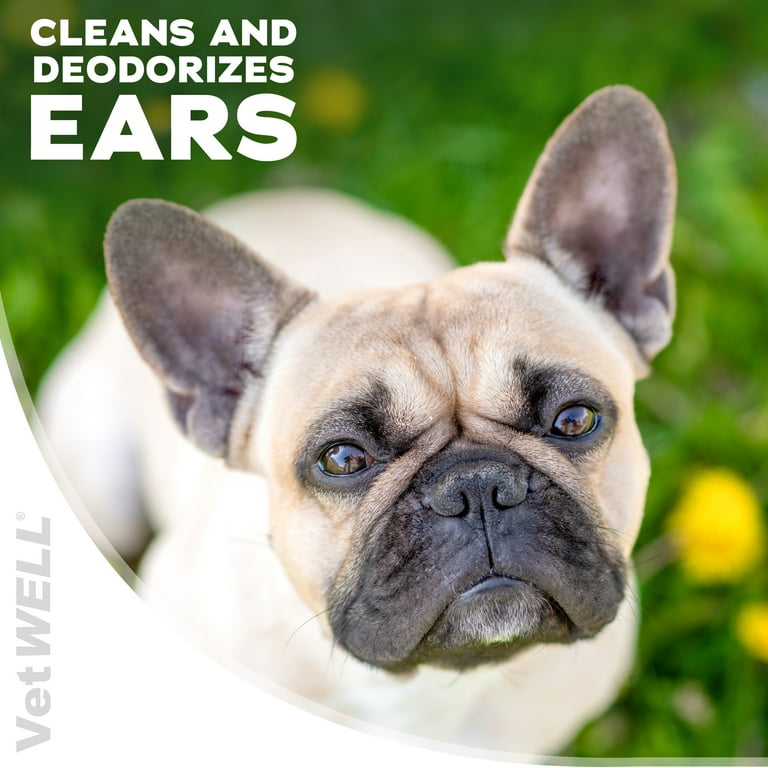 Dog Ear Mites Frenchie Ear Cleaner V4B Bulldog And French Bulldog