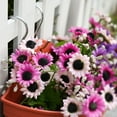 thumbnail image 3 of Pot de Plante Suspendu au Mur en Rotin Imitation, Panier de Clôture Semi-Circulaire en Résine pour Balcon, Jardin, Intérieur, 3 of 6