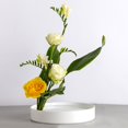 thumbnail image 4 of DOLITY Ikebana/ Forme Ronde/ en - Blanc 28cm, 4 of 9