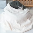 thumbnail image 3 of Soft Pet Blanket for Dogs Cats Warm Plush Throw, Reversible Washable Blanket for Small Medium Large Pets, Dog Cat Bed Sofa Travel Puppy Kitten Fuzzy Comfort Blanket, 3 of 3