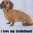 thumbnail image 2 of CafePress - FIN Dachshund Smooth Love - Cute Infant Baby Football Bodysuit, 2 of 3