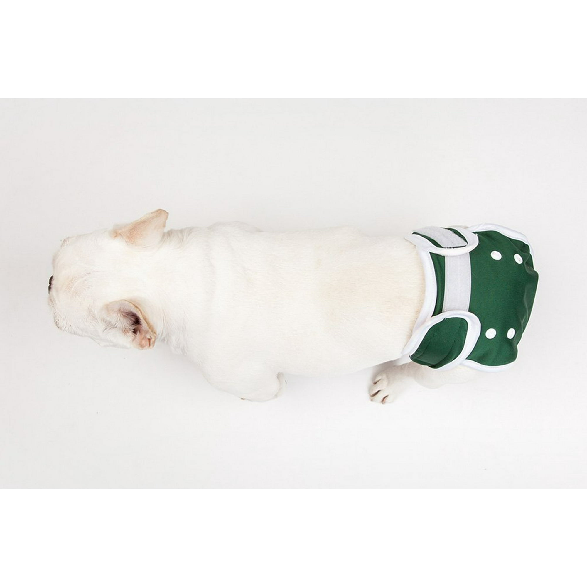 Dog diapers no tail hole hotsell