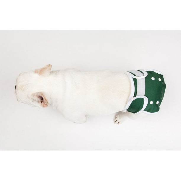 Boston clearance terrier diapers