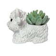 thumbnail image 2 of Adorable Llama Shaped Ceramic Planter Pot for Succulents Cacti and Small Plants White Decorative Home Decor, 2 of 7