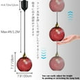 thumbnail image 4 of FSLiving Éclairage sur Rail de Type H à Hauteur Réglable E26 Ampoules Edison DEL Intelligentes avec Minuterie Globe en Verre Martelé Rouge Profond 4 Pi Suspension à Intensité Réglable Décorer pour Plante Îlot de Cuisine Personnalisable, 4 of 9