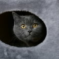 thumbnail image 3 of PETMAKER 2-Story Double-Hole Cat Condo With Scratch Surface - Gray, 3 of 6