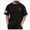 Black, variant on 250 Anniversary USA Shirts: 1776-2026 250th Birthday Patriotic American Flag T-Shirt 4th of July Shirt (XXL, Black)