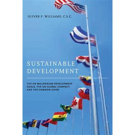 Pre-Owned Sustainable Development: The UN Millennium Development Goals, the UN Global Compact, and the Common Good (John W. Houck Notre Dame Series in Business Ethics) Paperback