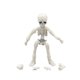 thumbnail image 2 of Cateissary Mini Pose esqueleto muñeca perro Animal modelo alta dureza esqueleto huesos acción colección modelo decoraciones conjunto Decoración Niño Hombre Esqueleto, 2 of 6