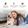 thumbnail image 6 of Safe Dog Chew Authentic Himalayan Cheese Chew treats for Dogs, XLarge, 3 Chew Packet, 6 of 9