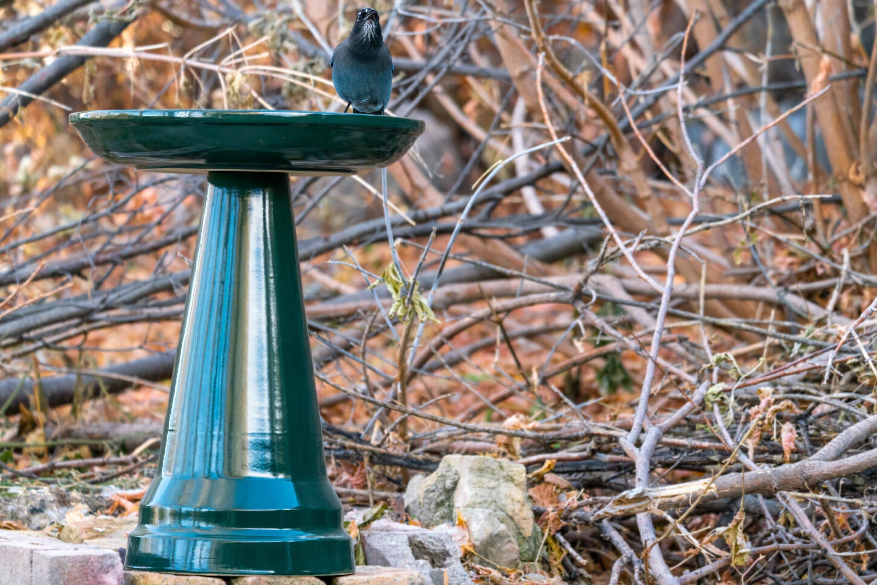 Birds Choice Ohio Stoneware Weather Resistant Ceramic Clay Pedestal Bird Bath, 22"H x 17"D, Hunter Greenreen