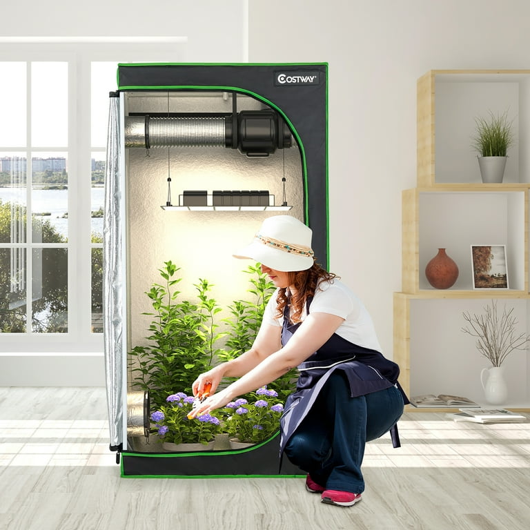 Hydroponic 2025 grow tent