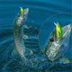 thumbnail image 3 of 5 unidades de señuelos de pesca de hundimiento de 3 g con centro bajo y sistema silencioso, señuelo artificial tipo wobbler., 3 of 5