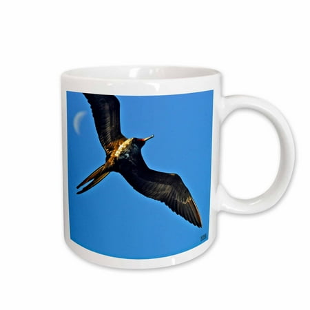 

3dRose Magnificient Frigatebird Fregata magnificens Ceramic Mug 11-ounce