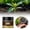 Bronze, variant on Eqslft Bio-Active Bone Meal Soil Revitalizer – Micronized Root Booster Granules For Indoor And Outdoor For Raised Garden Beds Potting Mix And Seedling Compost