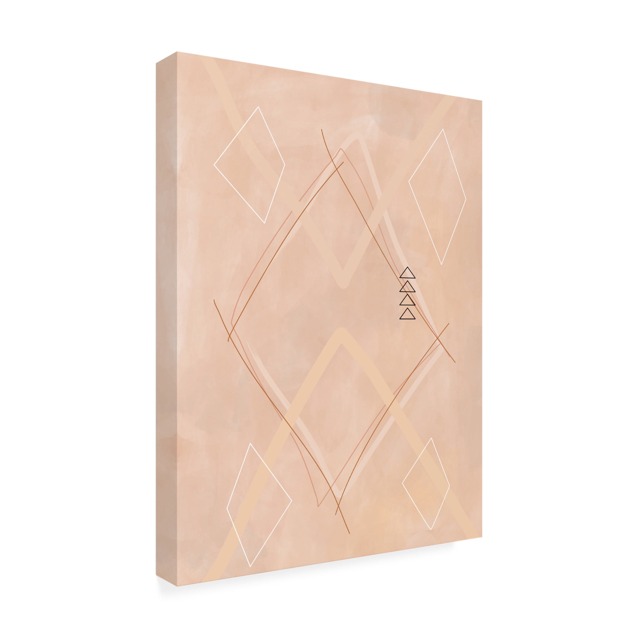 Trademark Fine Art Elena Ristova  softpink20 Canvas Wall Art