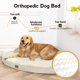 thumbnail image 2 of Cama ortopédica para perros MEKIY con laterales para perros extra grandes, beige, 2 of 7