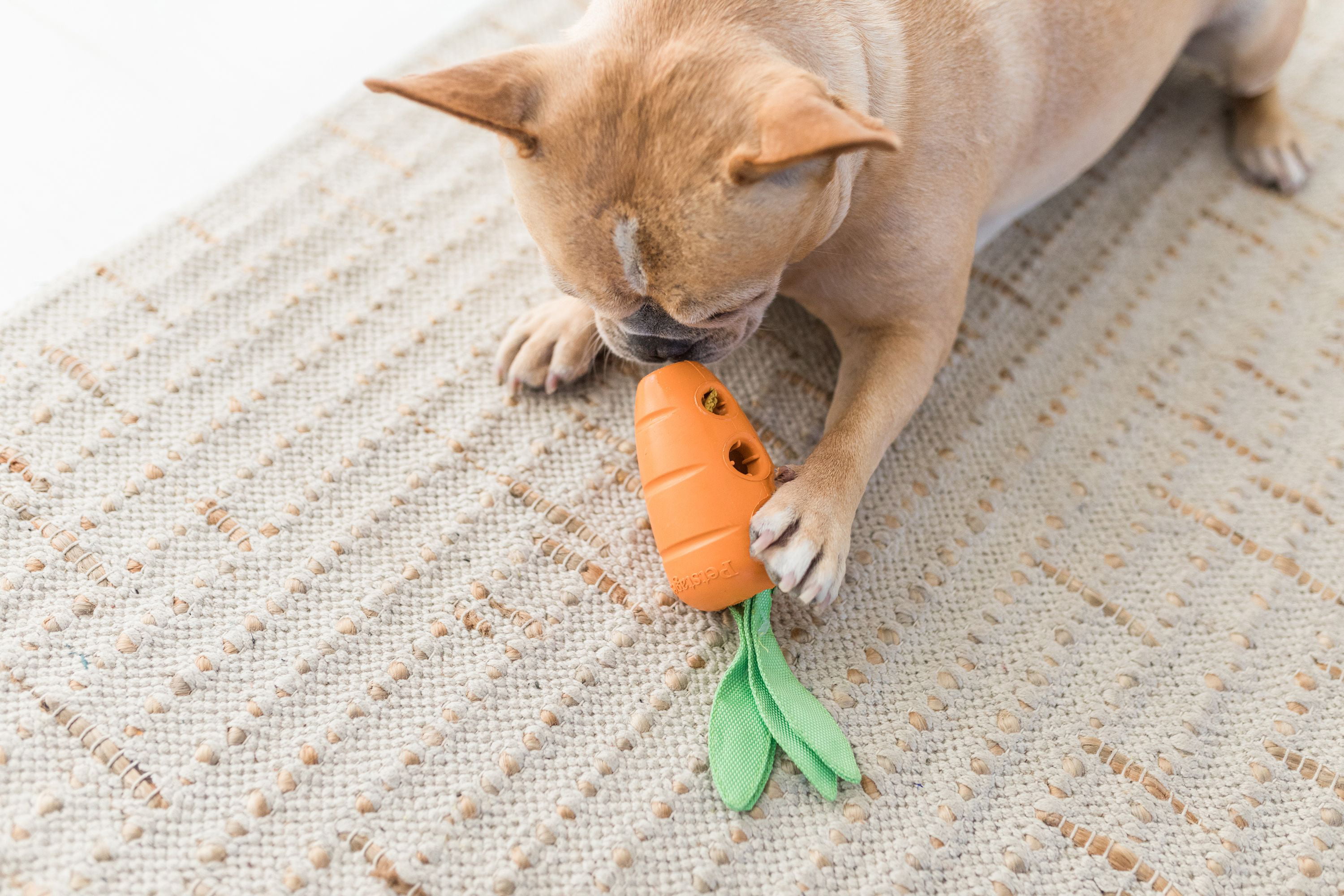 Petstages Carrot Stuffer Treat-Dispensing Interactive Dog Toy
