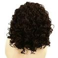 thumbnail image 4 of Catalonia Brazilian Curly Wigs for African American Black Women, Front Wig Heat Resistance 16" Brown, 4 of 7